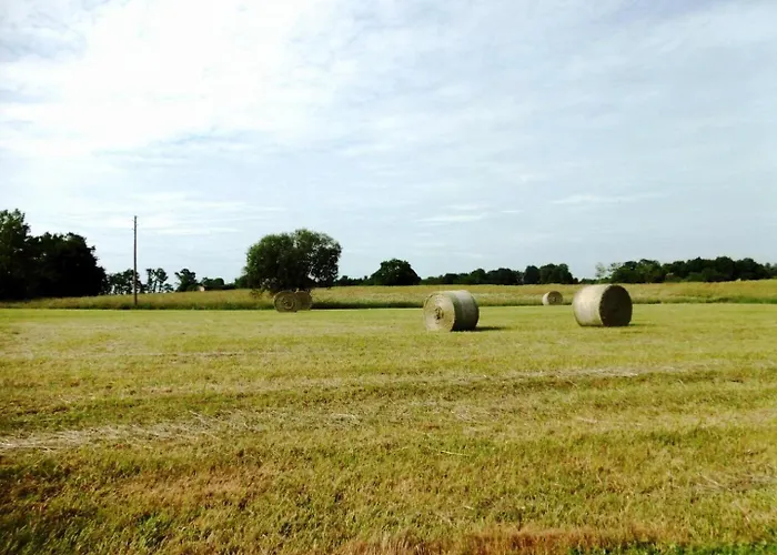 Casa de Férias Maison Jeanborde Serreslous-et-Arribans